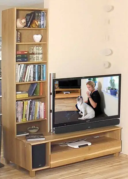 TV-Lowboard mit Regalkombi 