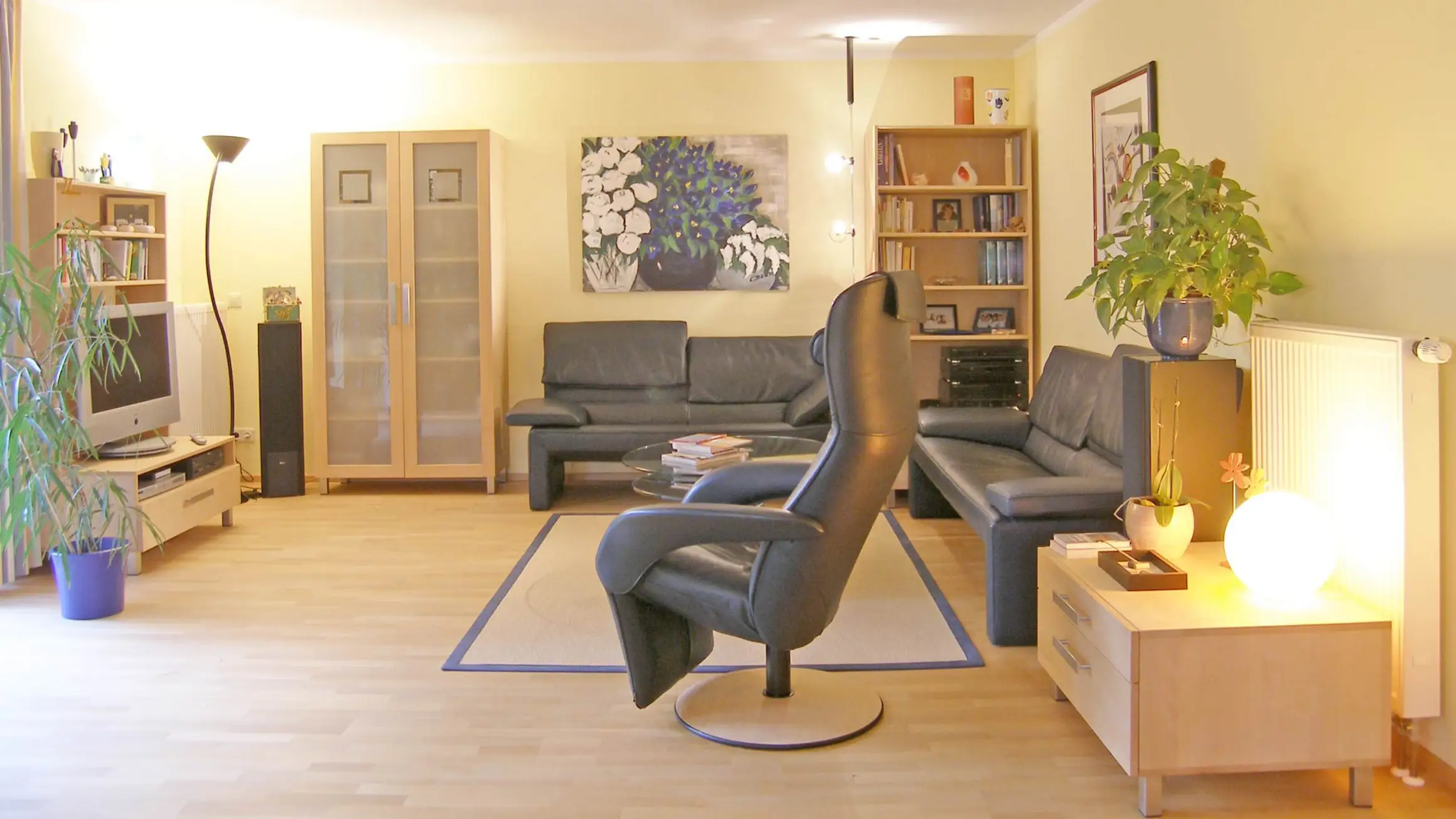 Wohnzimmermöbel aus Buche Massivholz