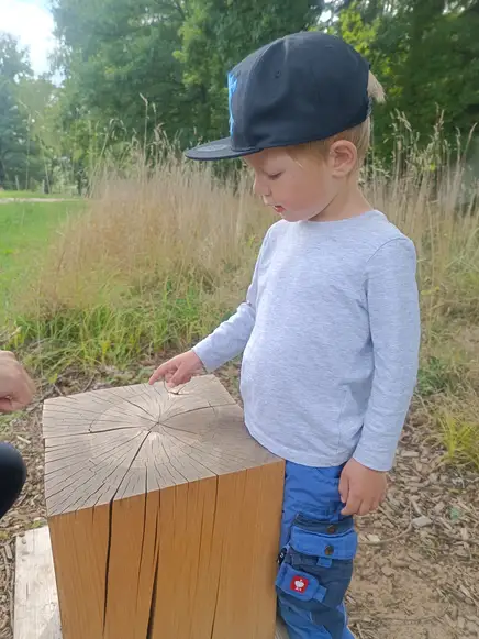 Fotos von den Jahresringzähelnden Kindern Fotos von den Jahresringzähelnden Kindern