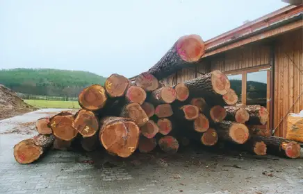 Die Lärchen für das regionale Musterhaus Die Lärchen für das regionale Musterhaus