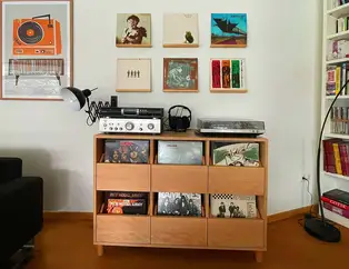 Mainzer Schallplattenschrank 