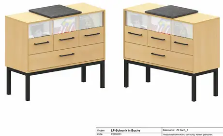 Staubdichte Glasfront für den Schallplattenschrank 