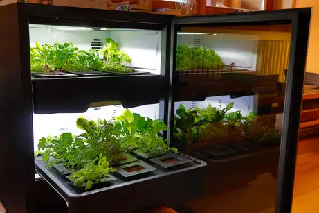 Plantcube von Agrilution by Miele 