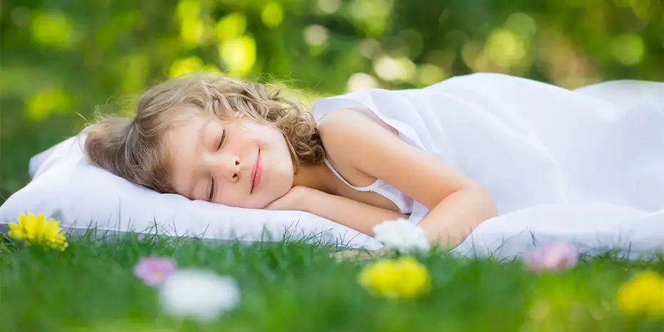 Kissen, Zudecken, Topper und und das ganze Bettzubehör von ProNatura