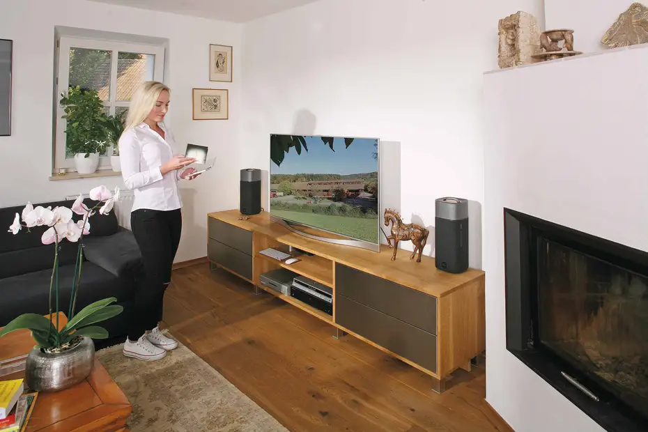 TV-Lowboard aus Eiche mit Fronten aus Edelstahl 