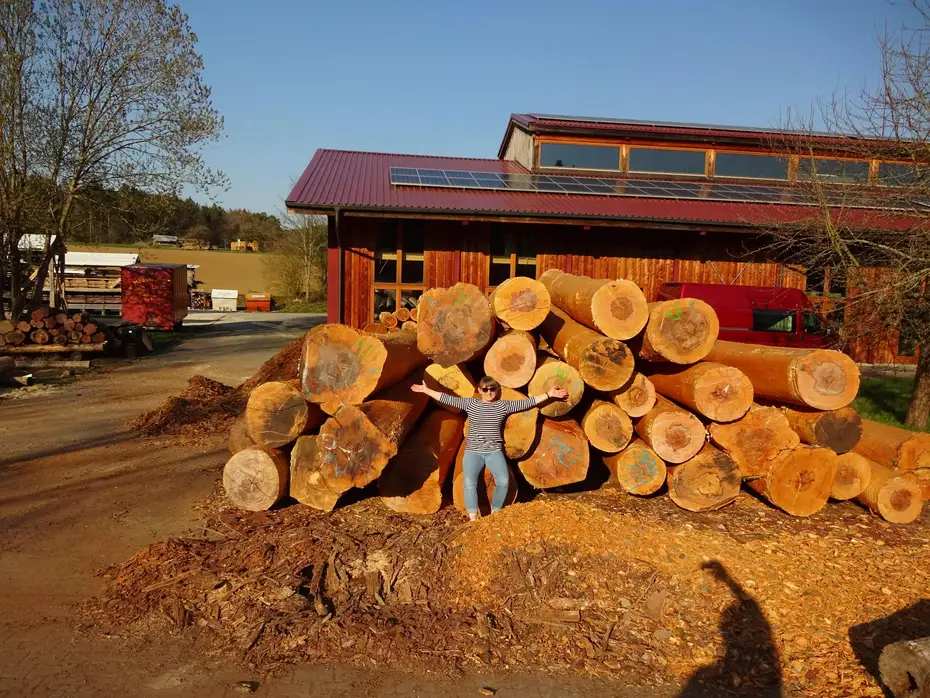 Eigenständige Massivholzwirtschaft