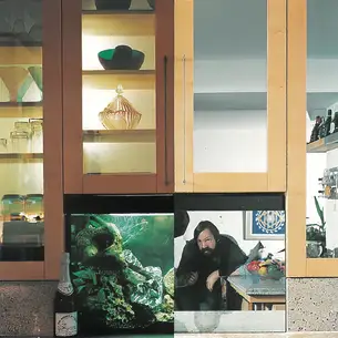 Spion-, Halb- oder Polizeispiegel