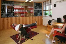 Buchenbüro mit handgemalten Fronten