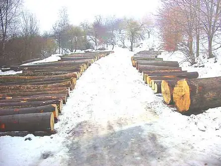 Holzsubmission in Franken