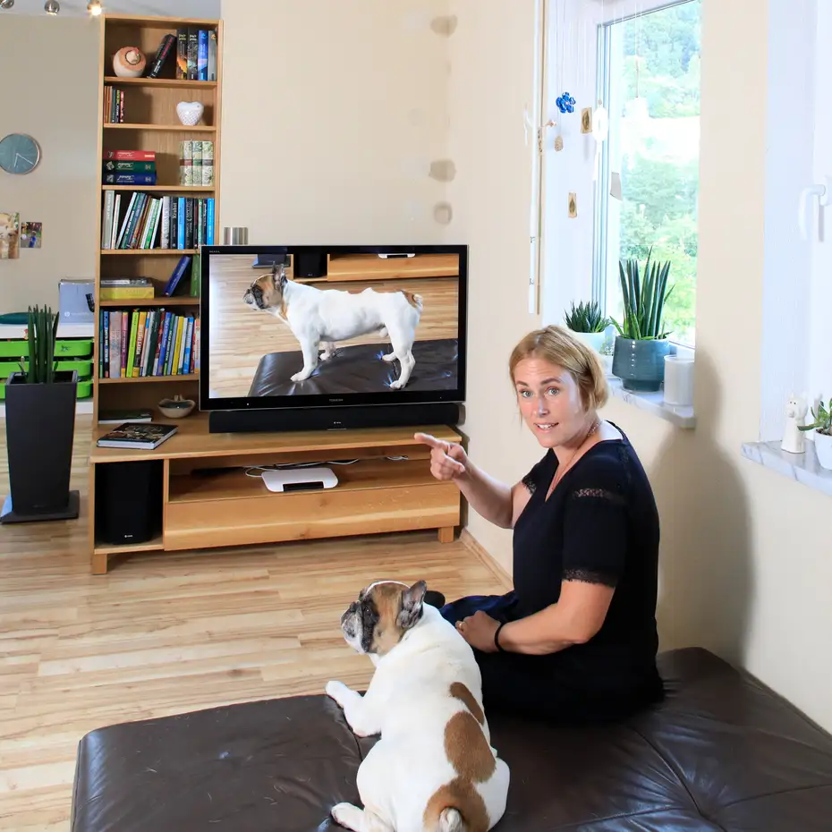 Eichen-TV Board mit französischer Bulldogge 