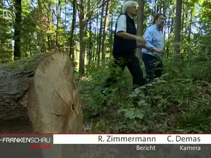 Nachhaltige Forstwirtschaft mit dem Bund Naturschutz Nachhaltige Forstwirtschaft mit dem Bund Naturschutz