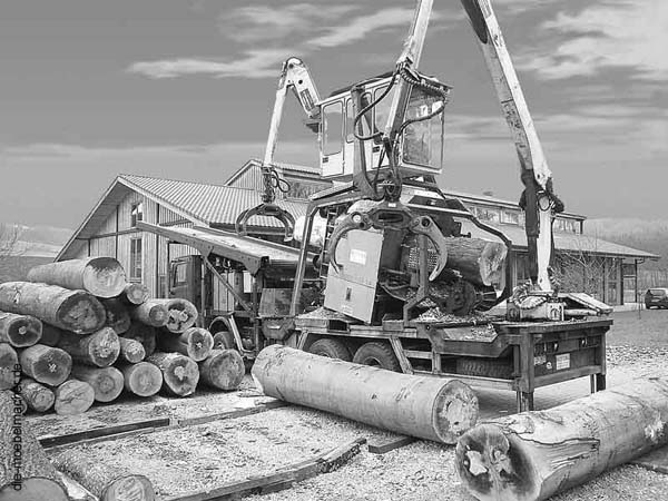 EntrindungPressekorrigiert